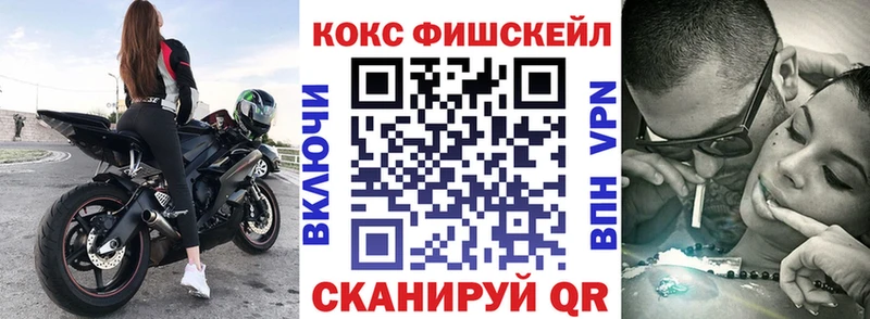 купить закладку  OMG маркетплейс  Cocaine FishScale  Шумерля 