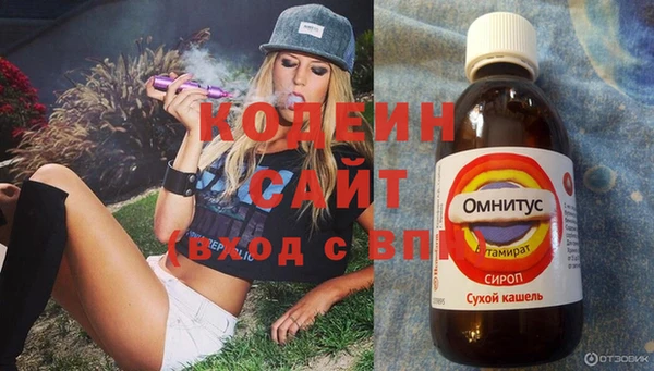 хмурый Абаза