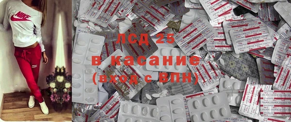 хмурый Абаза