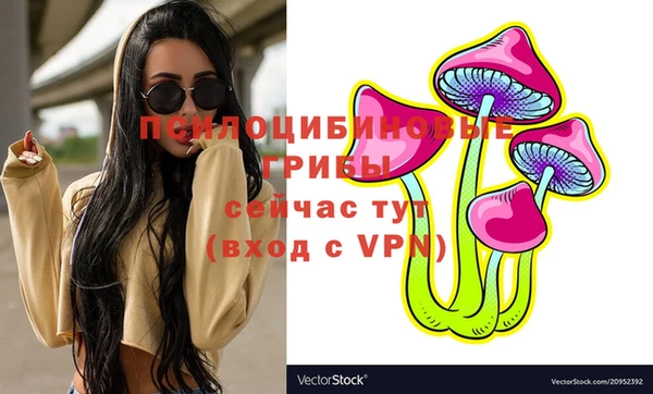 хмурый Абаза