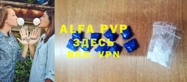 хмурый Абаза