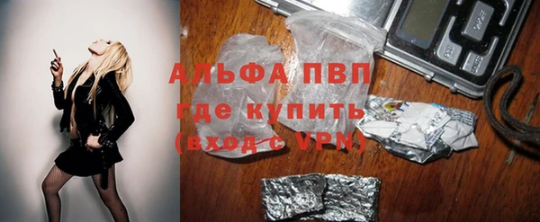 хмурый Абаза