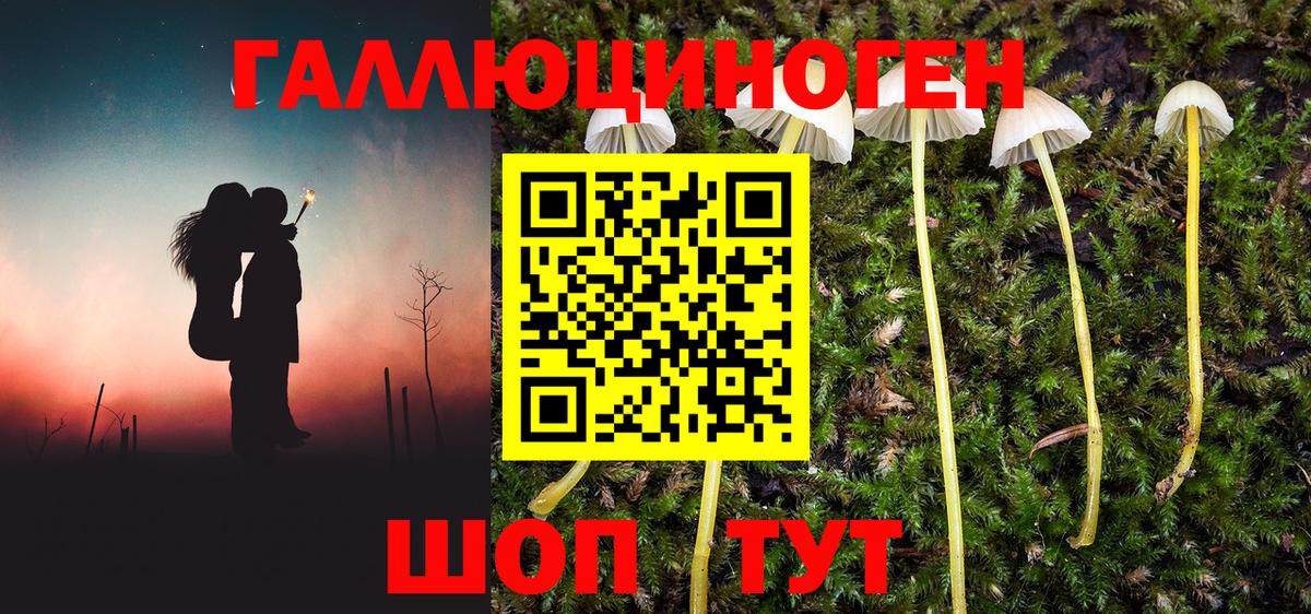 Псилоцибиновые грибы прущие грибы Шумерля